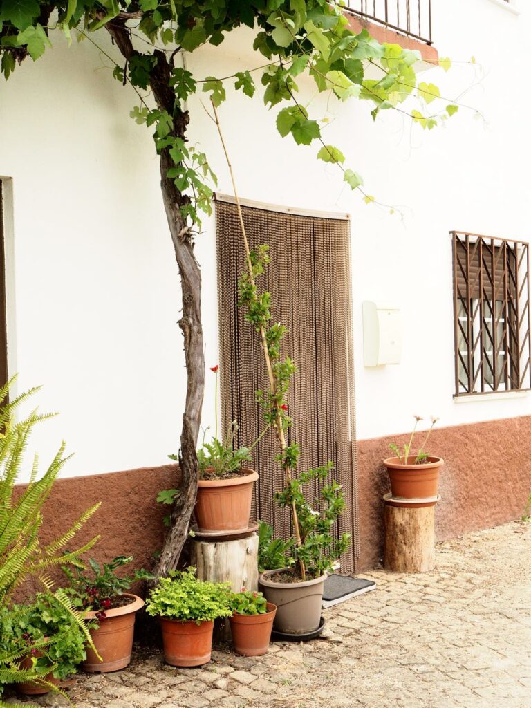 Przydomowy ogródek w wydaniu portugalskim