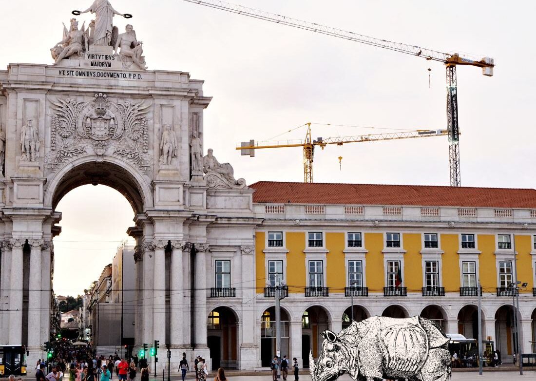 Nosorożec Durera na lizbońskim placu.