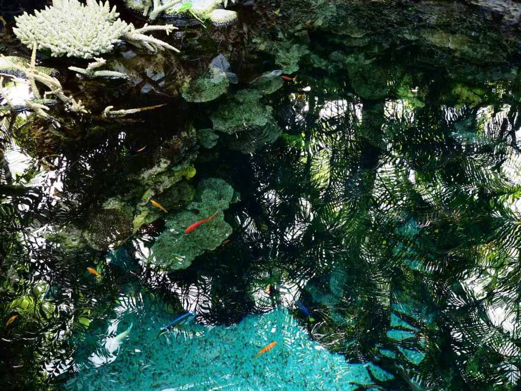 Ocean Indyjski jest lazurowy!