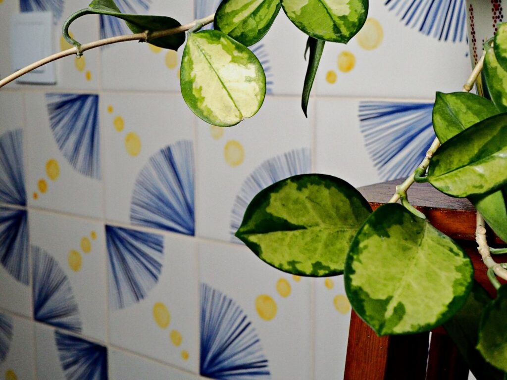 Nowoczesne i rytmicznie ułożone kafelki geometryczne