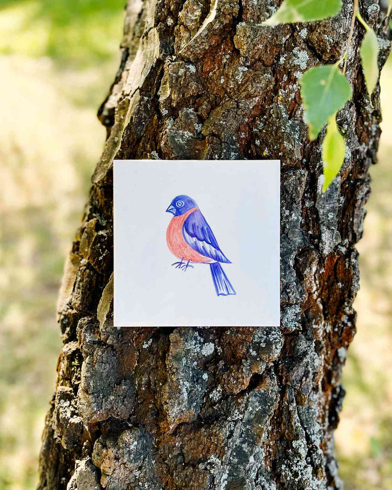 płytka z gilem na drzewie leżąca